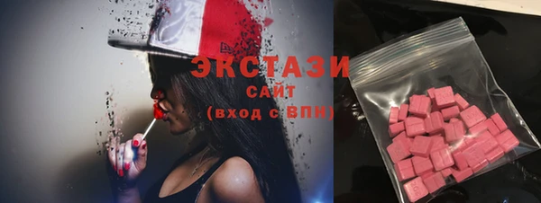 индика Киреевск