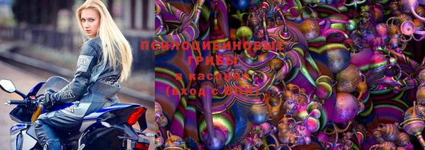 индика Киреевск