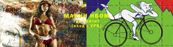 индика Киреевск