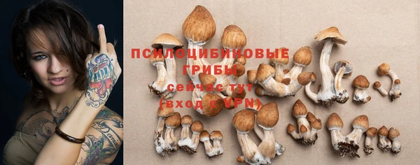 индика Киреевск