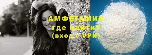 индика Киреевск